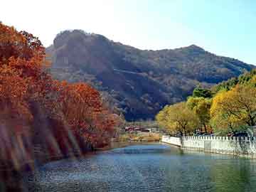 新澳天天开奖资料大全旅游团，骐达怎么样